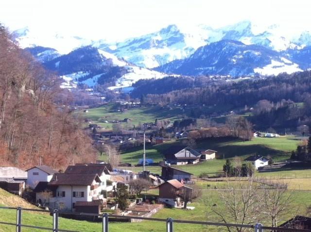 Seebrise Faulensee Bagian luar foto